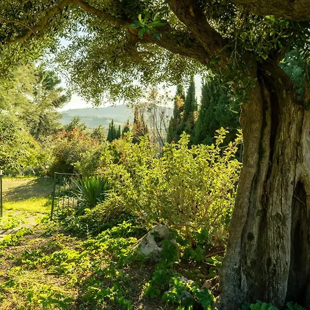 Residenza Lovely * Pesaro