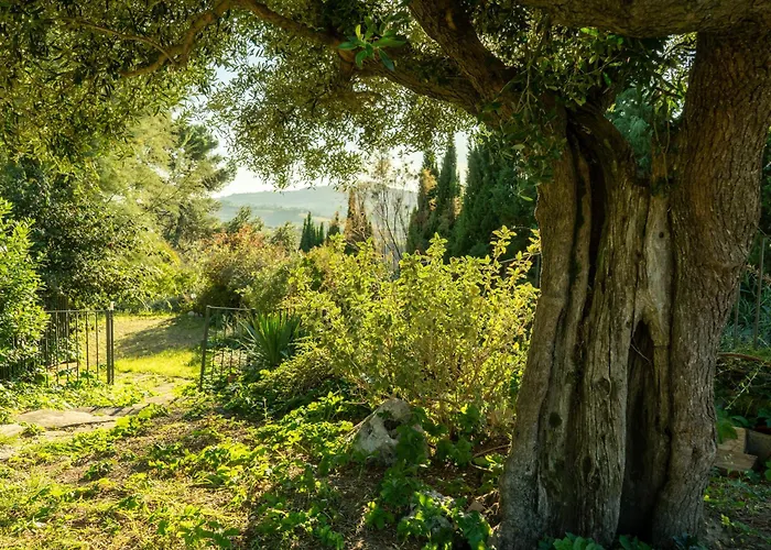 Residenza Lovely * Pesaro